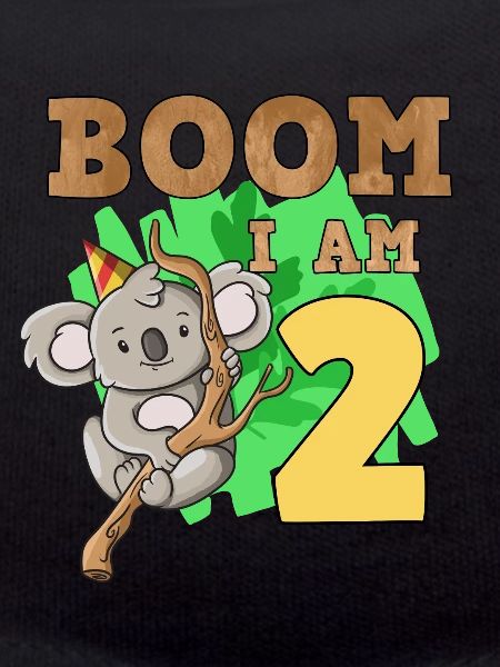 2nd birthday koala