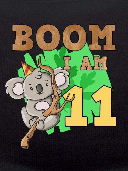 11th birthday koala