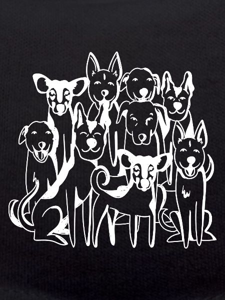 Pariah dogs