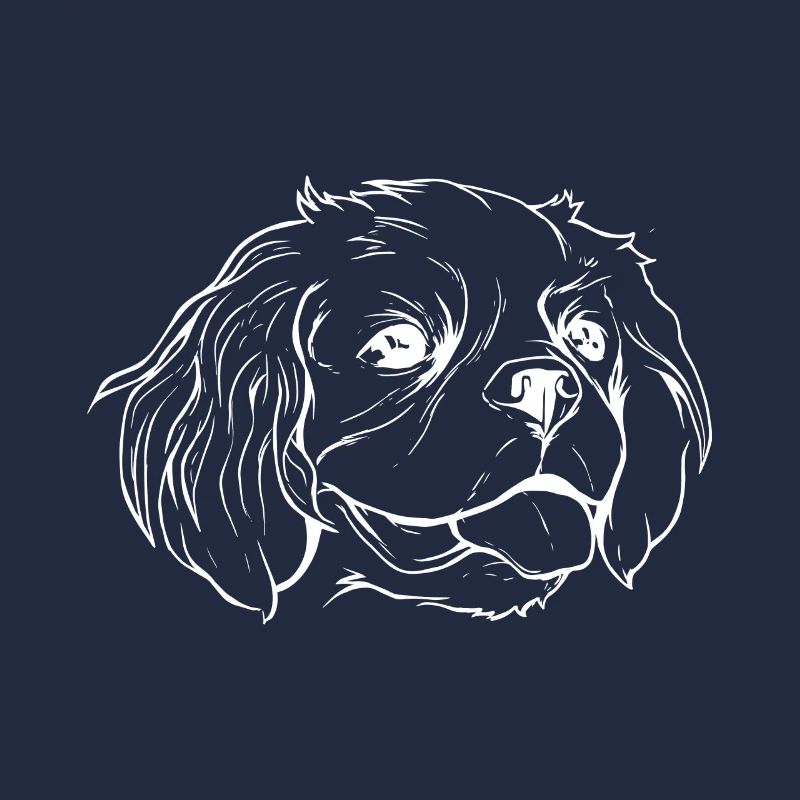 Cavalier Hund