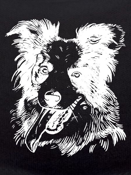 Happy Collie Dog