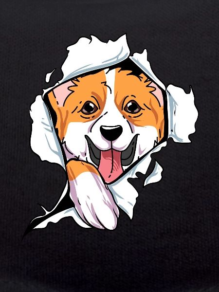 Welsh Corgi