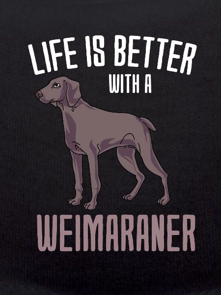 Weimaraner