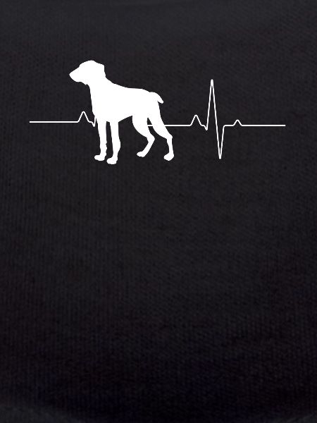 Weimaraner