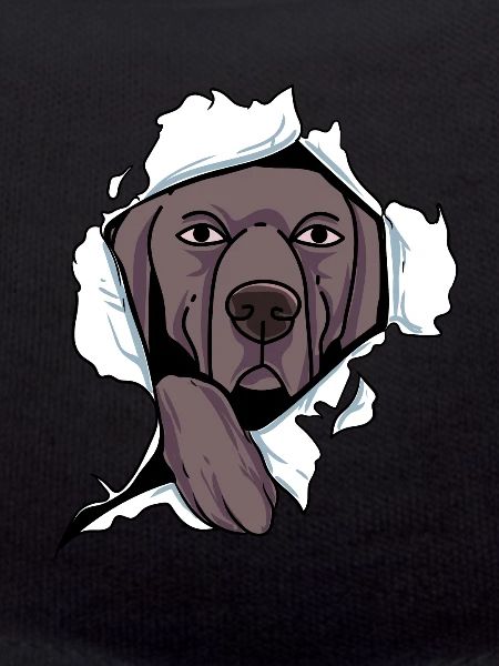 Weimaraner