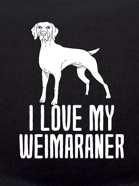 Weimaraner