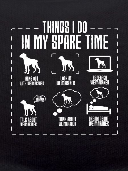 Weimaraner
