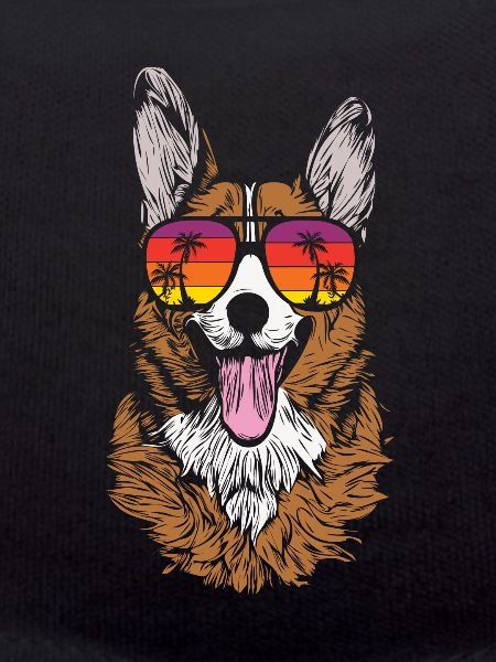 Welsh Corgi