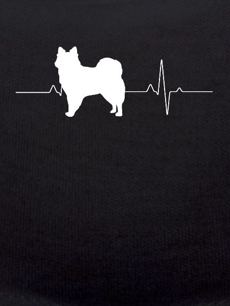 American Eskimo