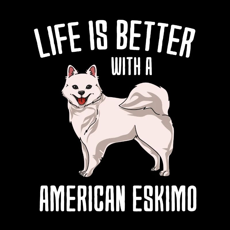 American Eskimo