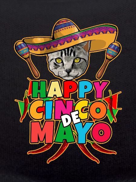 Cinco De Mayo Katze