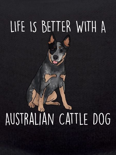 Bouvier australien