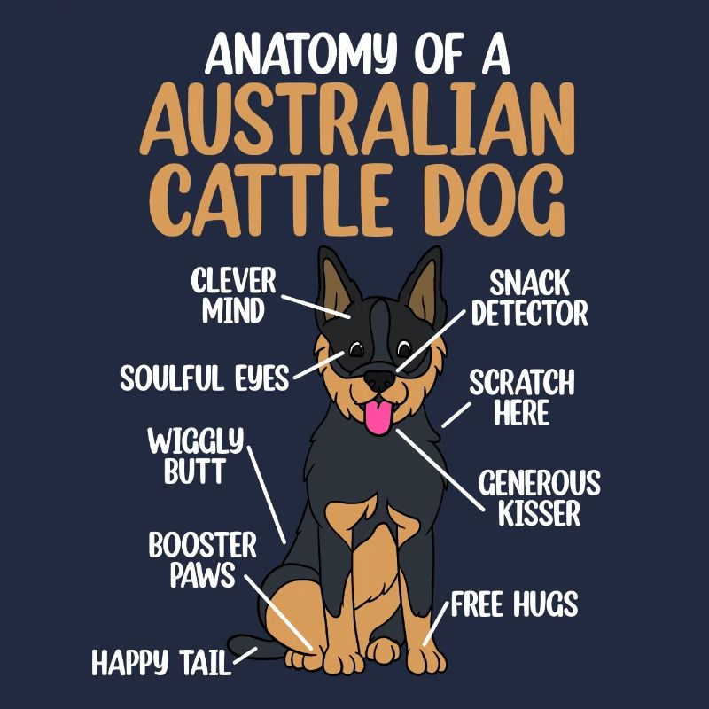 Australian Cattle Dog