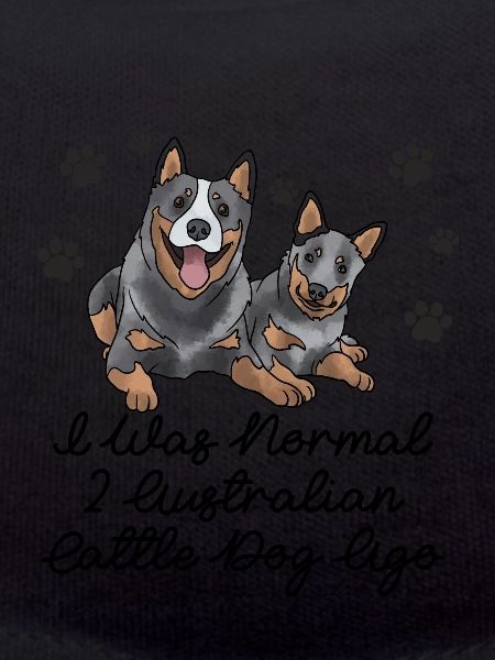 Australian Cattle Dog