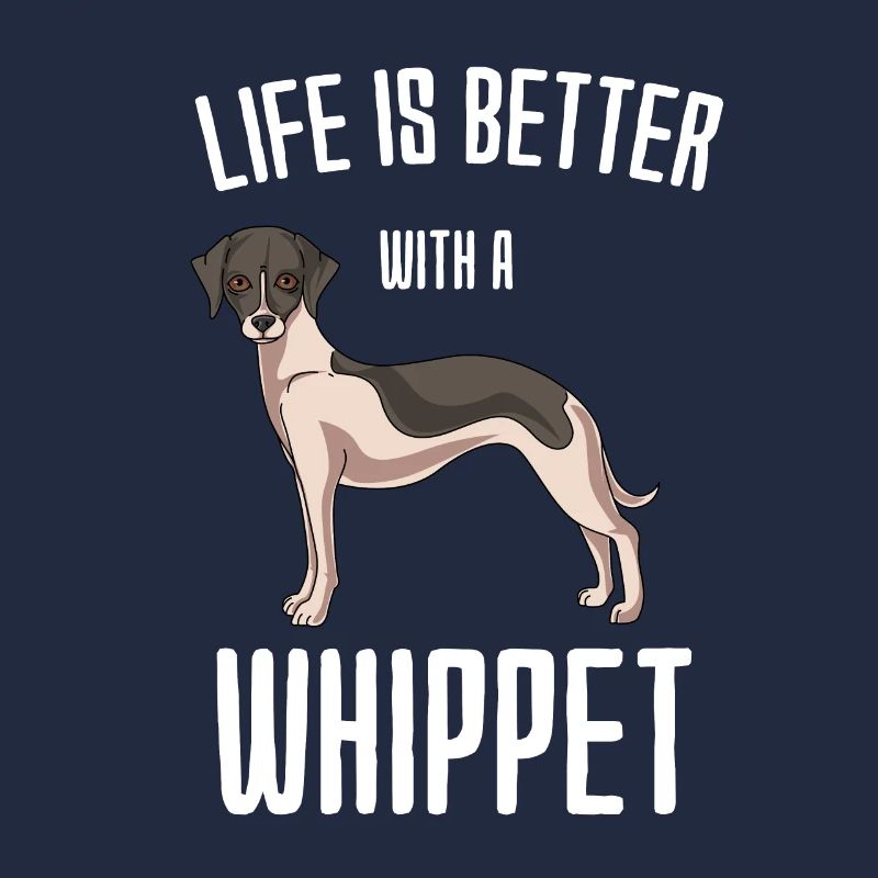 Whippet