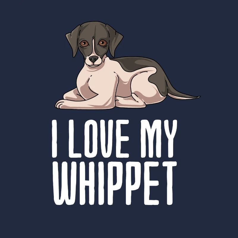 Whippet