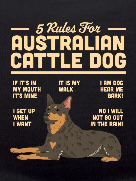 Australian Cattle Dog