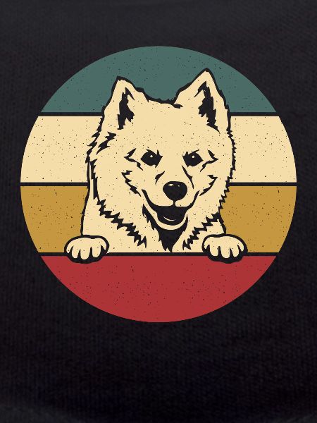 American Eskimo Dog