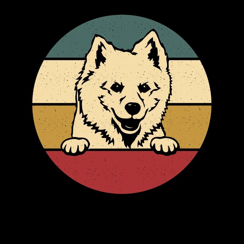 American Eskimo Dog