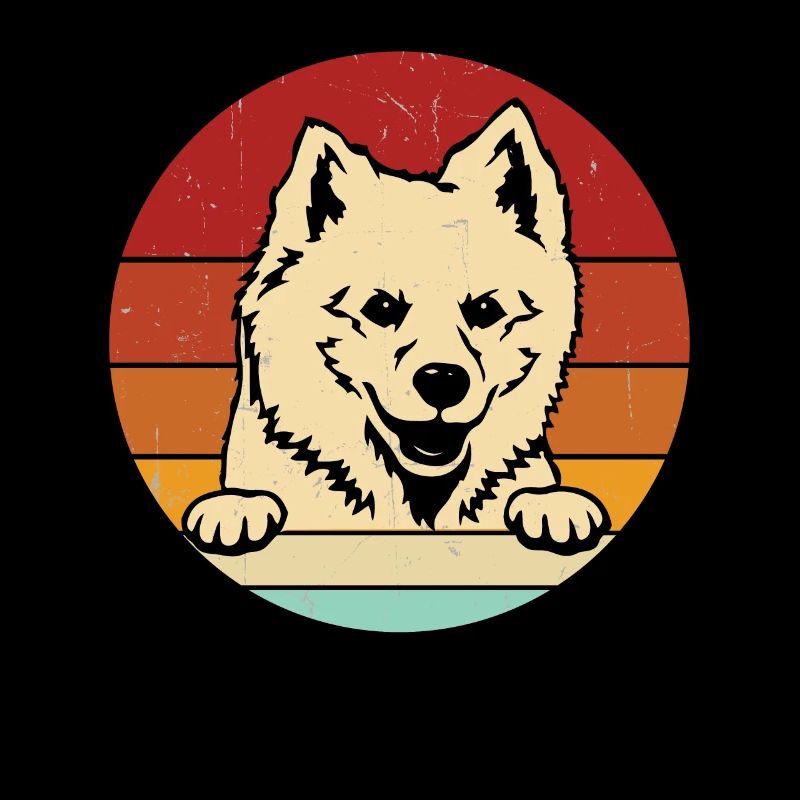 American Eskimo Dog