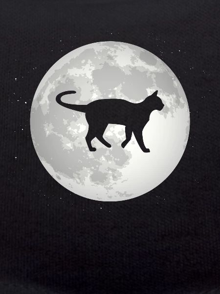 Full Moon - Cat -