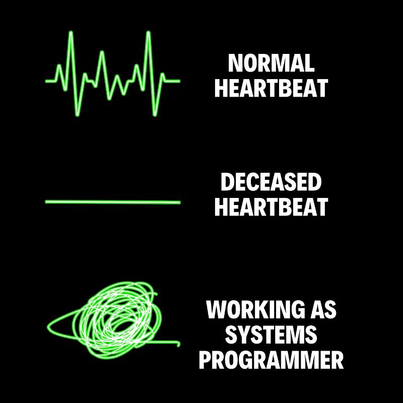 Programmeur système Drôle de programmeur de système