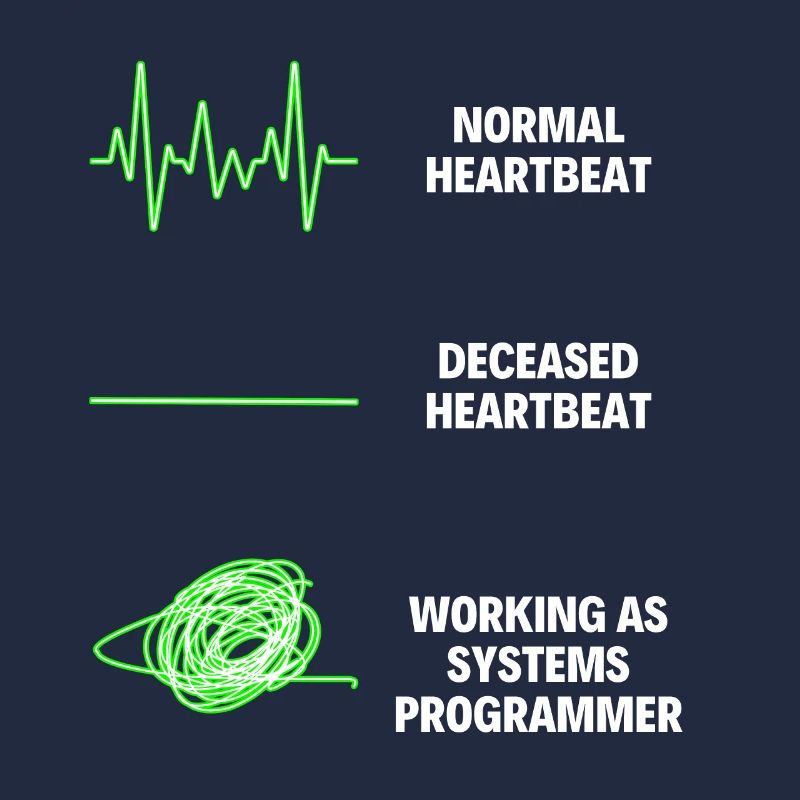 System Programmer Funny System Worker Programmers