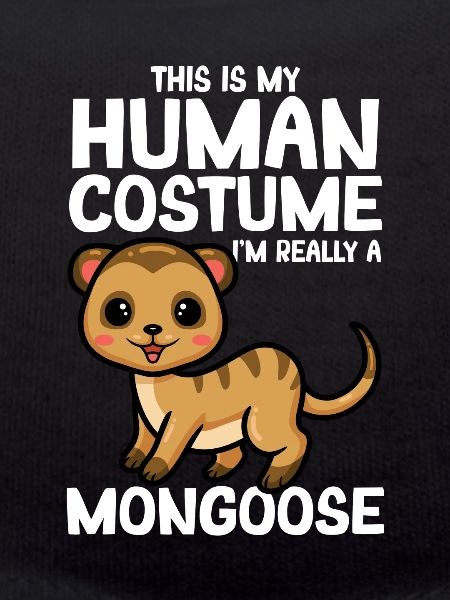 Mongooses Mongooses Meerkats