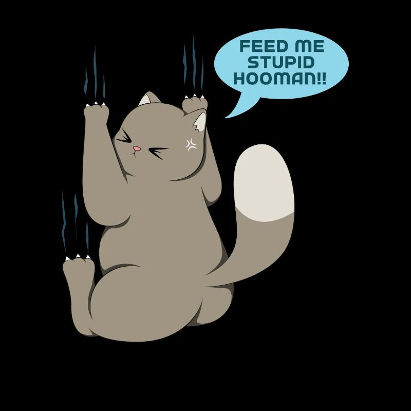 Katze