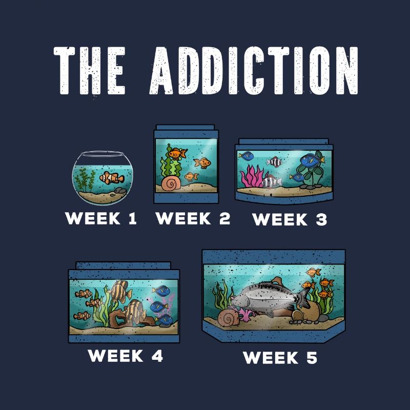Aquarium Fish Gift