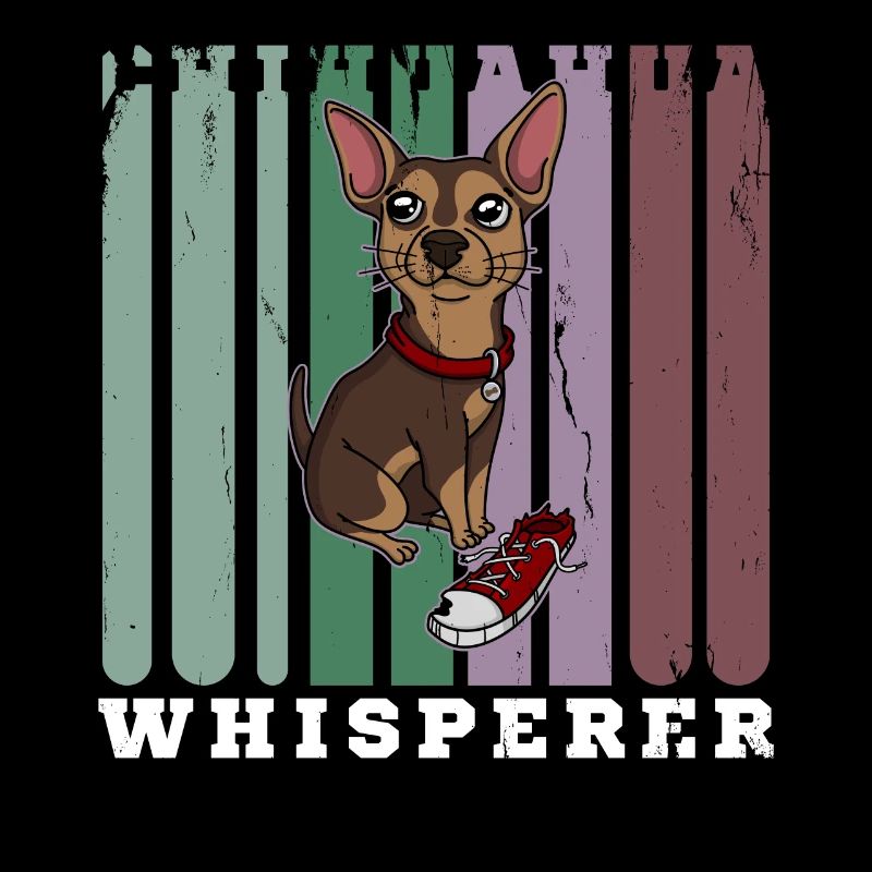 Flüsterer Chihuahua Hund