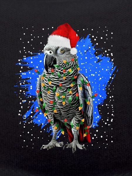 African Grey Parrot Gift