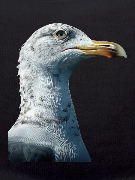 Gull