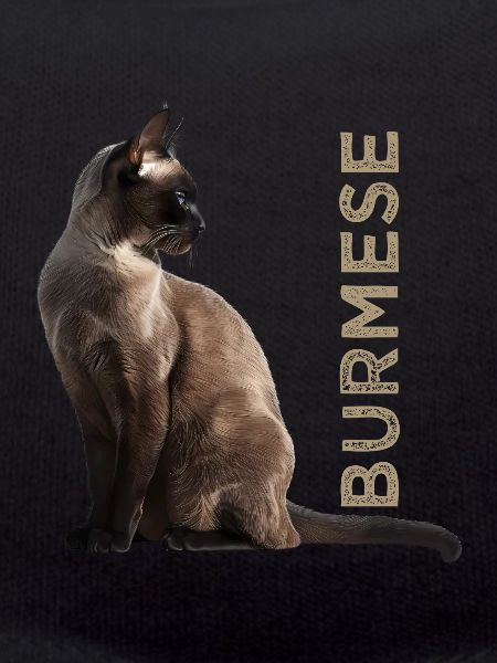 Birman