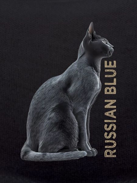 Russian blue