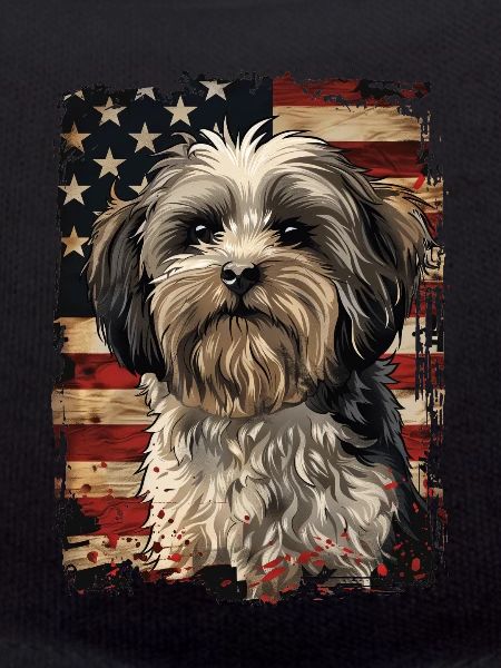 Havanese, America Usa