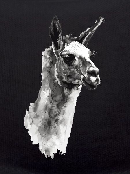 Lama