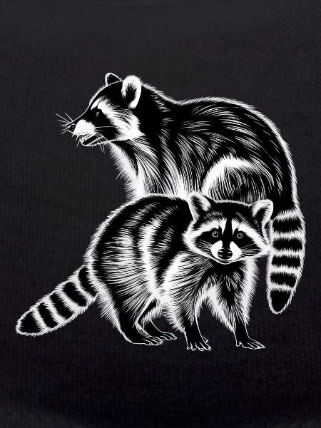 Raccoon