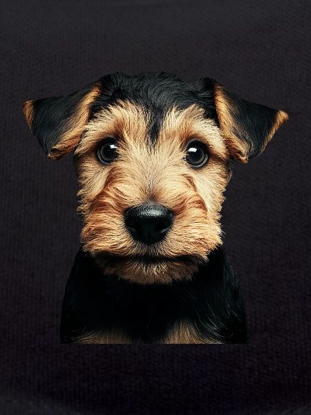 Airedale Terrier