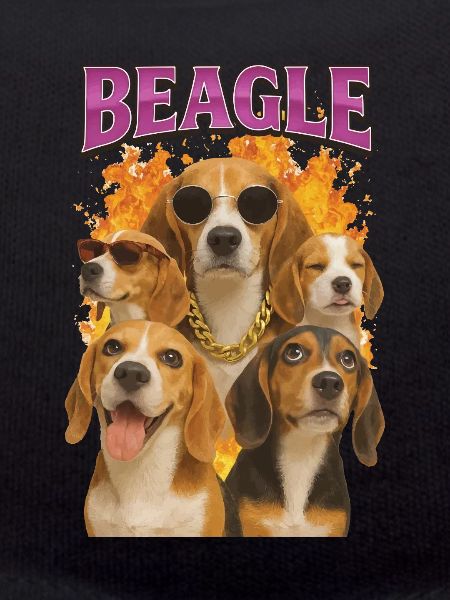 Beagle