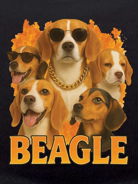 Beagle