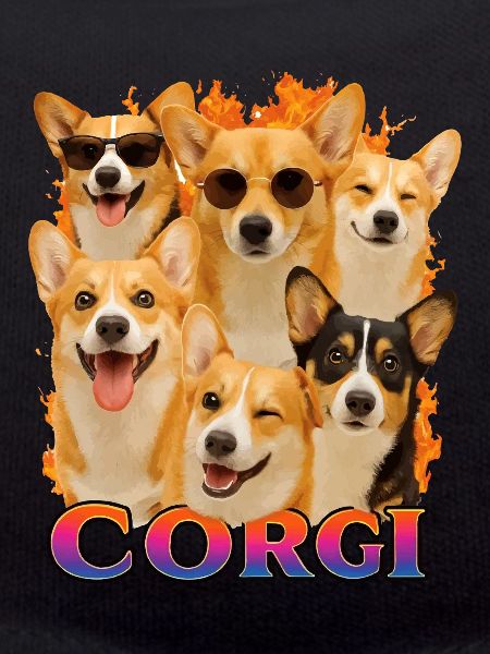 Corgi