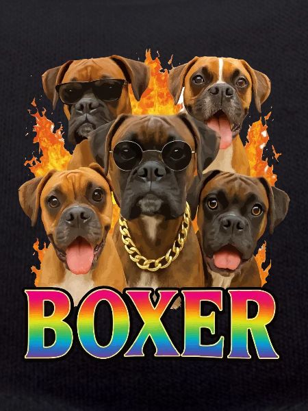 Boxer