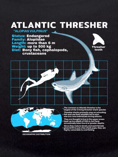 Thresher Shark Datasheet