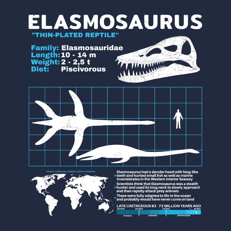 Fiche d’information sur Elasmosaurus