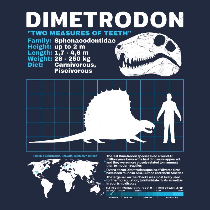 Fiche technique Dimetrodon