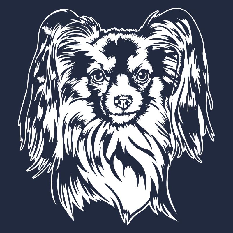 Papillon Portrait Chiens Chien Wilsigns