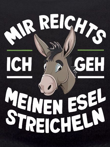 Donkey Donkey Mule Muli