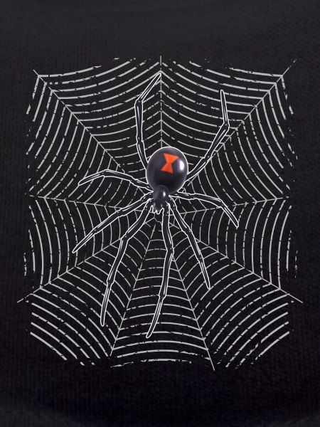 Spider on the web