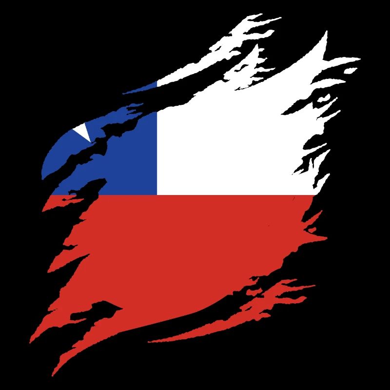 Chili Drapeau Amérique du Sud Drapeau Chili Vintage